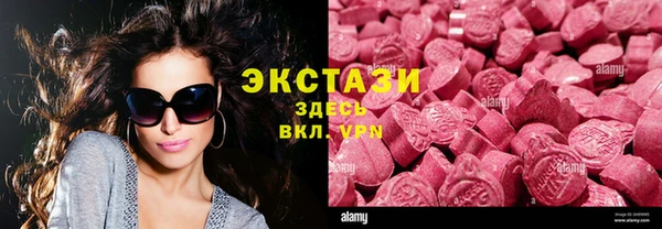 гидра Вязьма