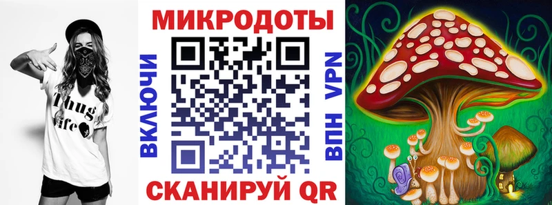 закладки  Карачаевск  Псилоцибиновые грибы мицелий 