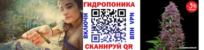 МАРИХУАНА семена  наркота  гидра ONION  Карачаевск 